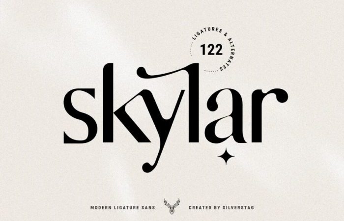 Skylar Font
