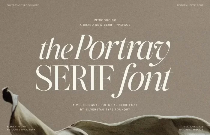 The Portray Font