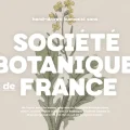 HV Botanique Font