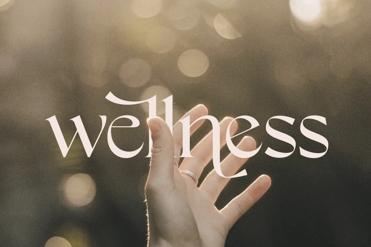 Ginkgo Font Free Download | Fontelement.com Ginkgo font style preview