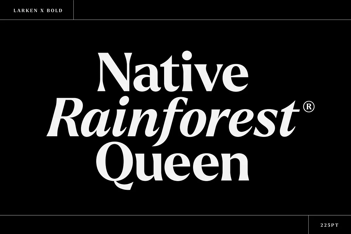 Larken Font Free Download | Fontelement.com Larken font style preview