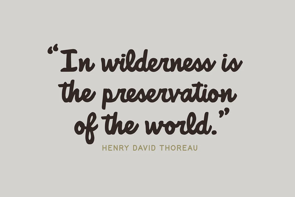 National Forest font preview — sample text