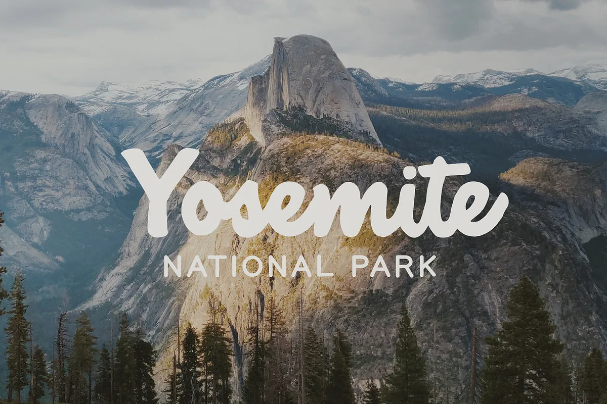 National Forest font style preview