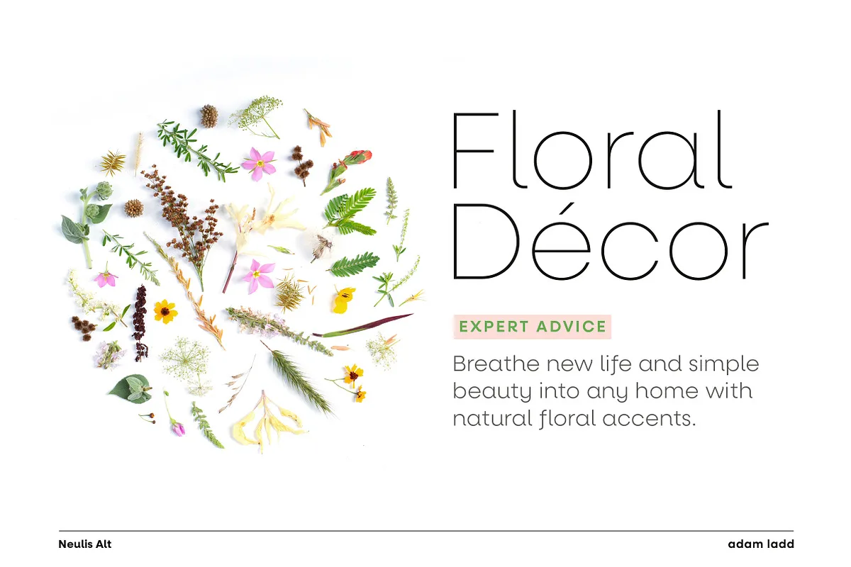 Neulis Font Free Download | Fontelement.com Neulis font preview — sample text
