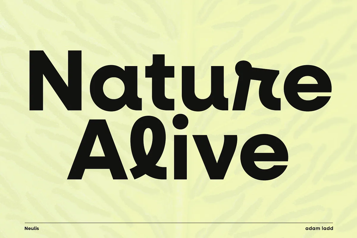 Neulis Font Free Download | Fontelement.com Neulis font used in a design mockup