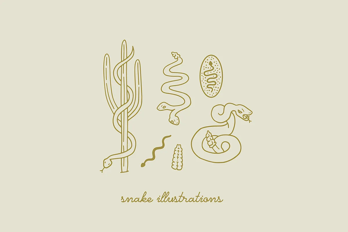 Rattlesnake Font Free Download | Fontelement.com Rattlesnake font style preview