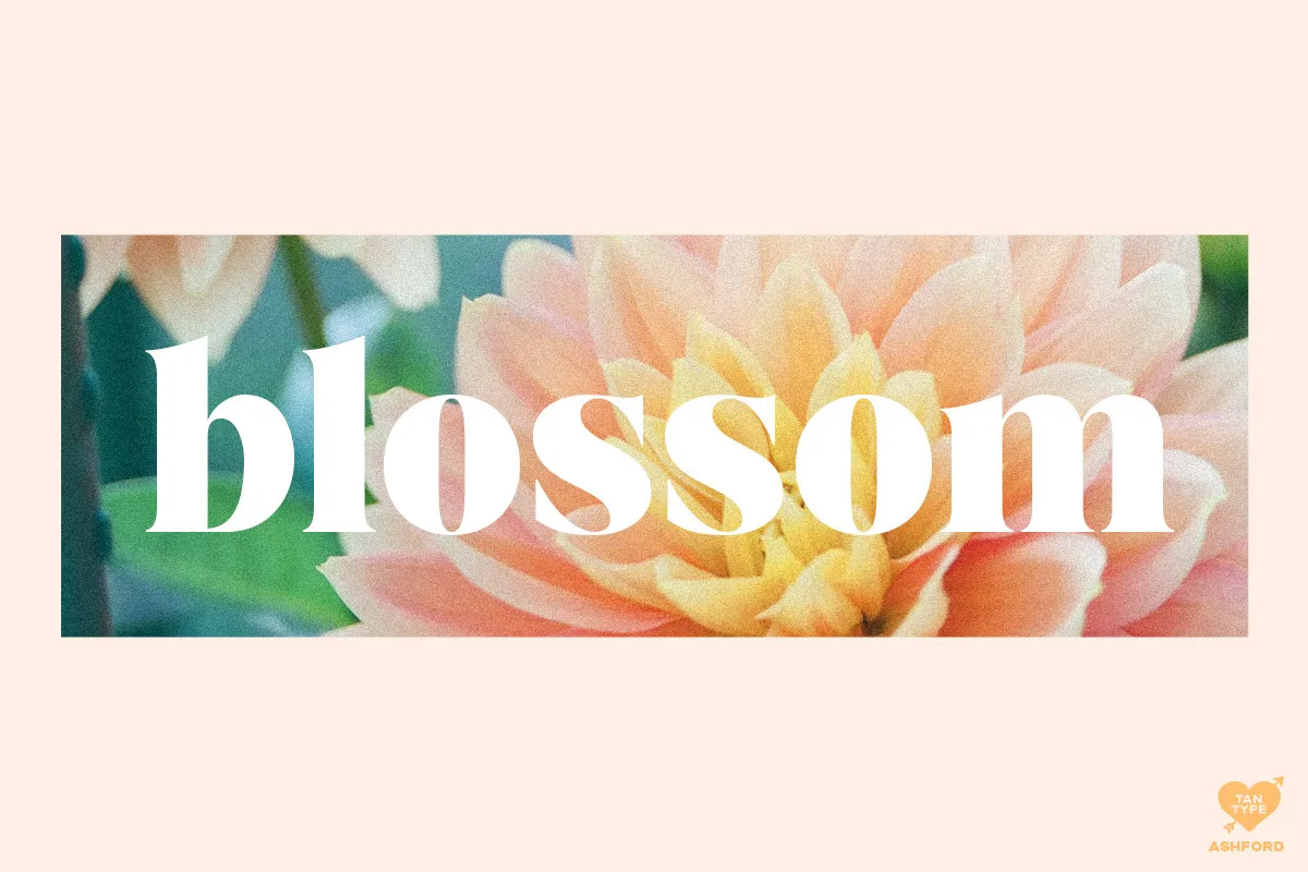 Tan Ashford Font Free Download | Fontelement.com Tan Ashford font alphabet, numbers and glyphs