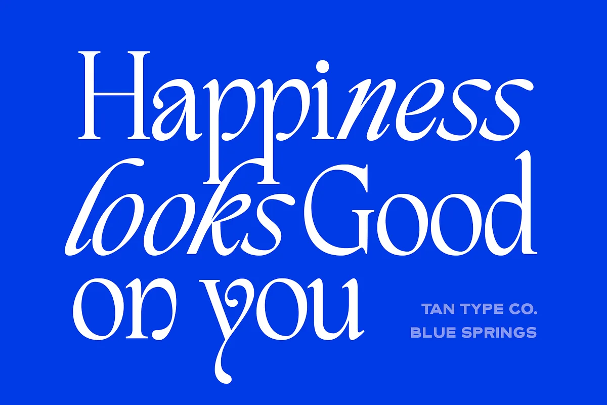 TAN – BLUE SPRINGS font preview — sample text