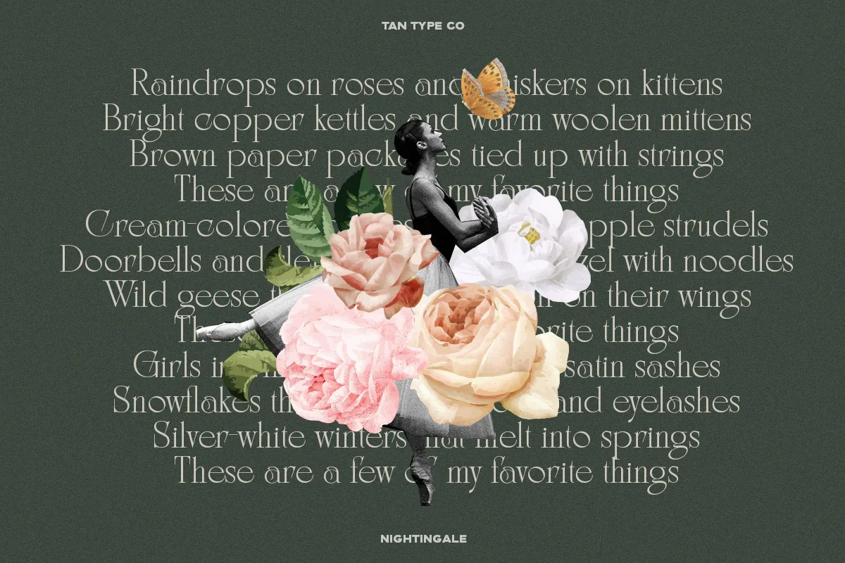 Tan Nightingale Font Free Download | Fontelement.com Tan Nightingale font preview — sample text