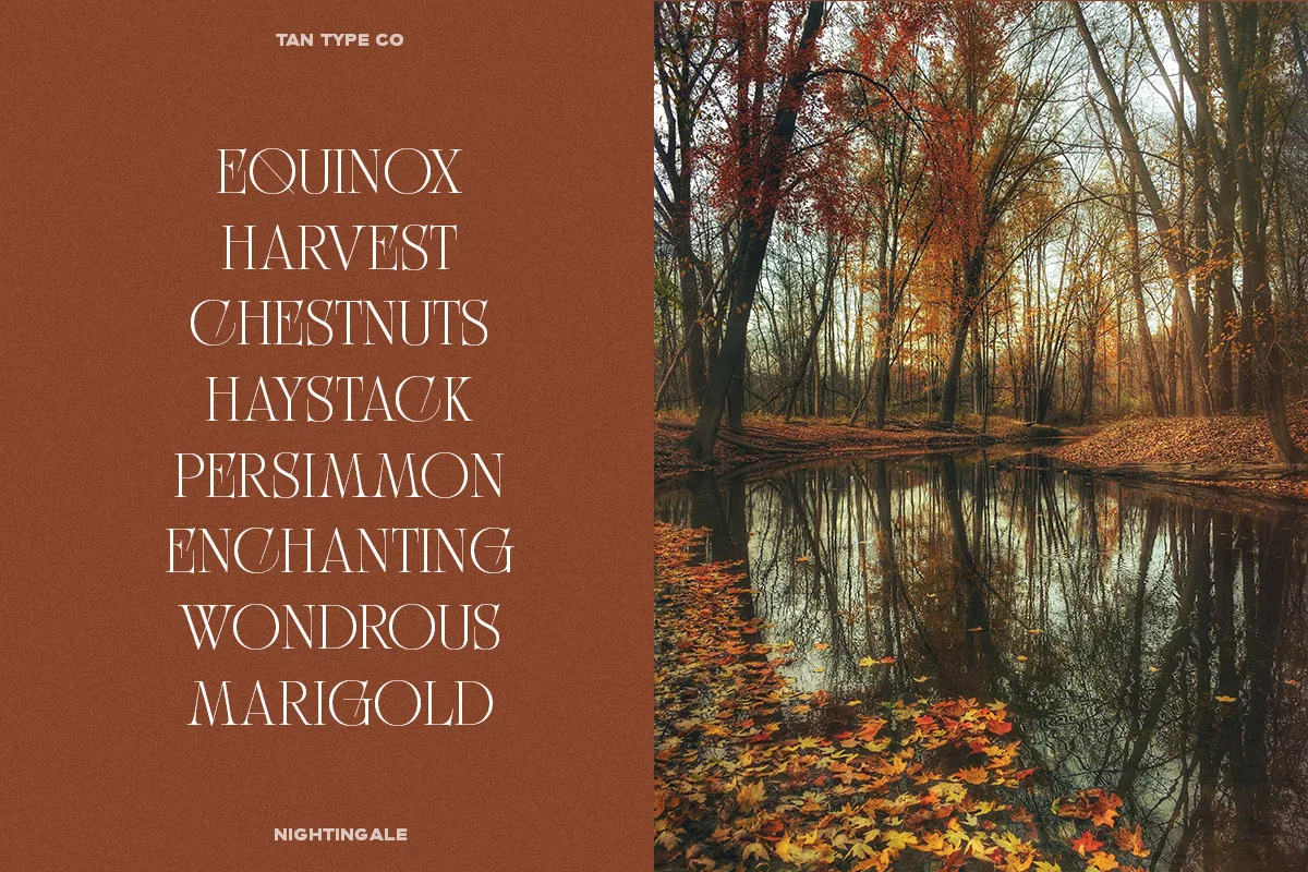 Tan Nightingale Font Free Download | Fontelement.com Tan Nightingale font alphabet, numbers and glyphs