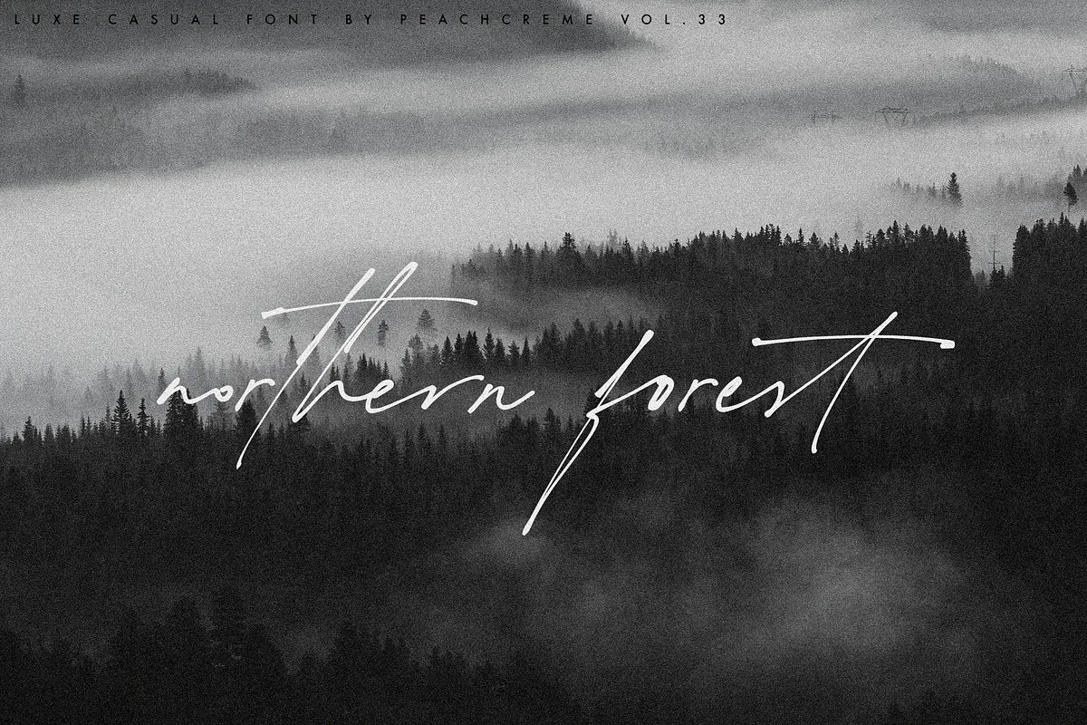 The Impressionist Font Free Download | Fontelement.com The Impressionist font style preview