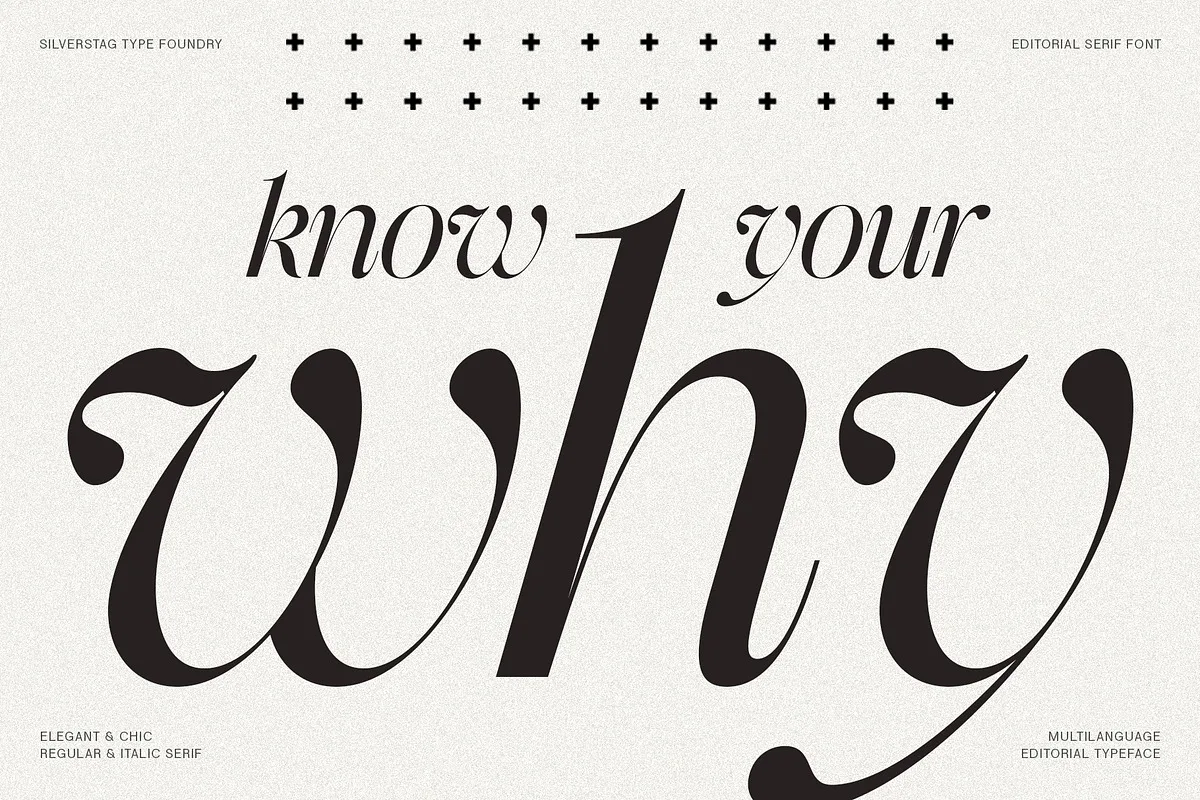 The Portray font preview — sample text