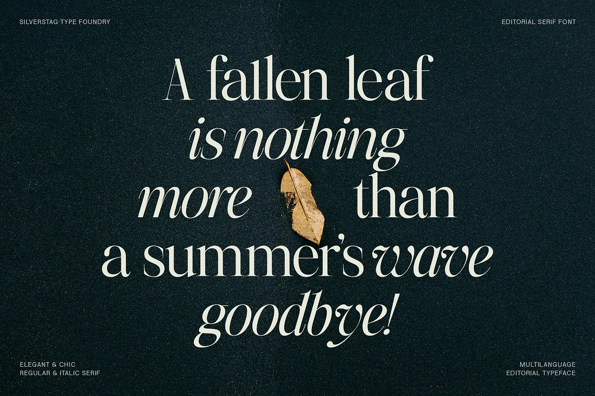 The Portray font style preview